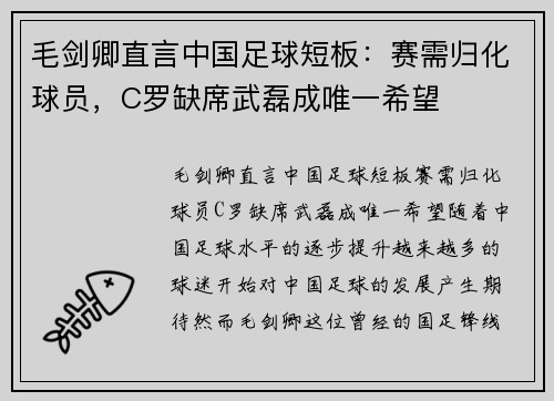 毛剑卿直言中国足球短板：赛需归化球员，C罗缺席武磊成唯一希望