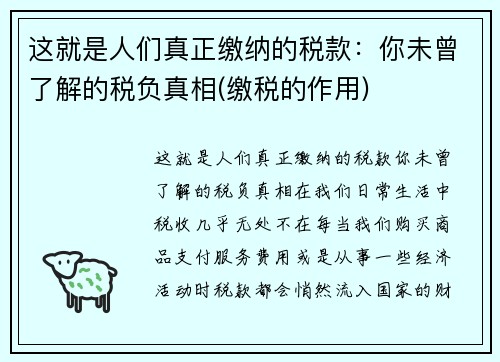 这就是人们真正缴纳的税款：你未曾了解的税负真相(缴税的作用)