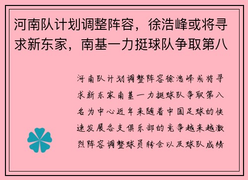 河南队计划调整阵容，徐浩峰或将寻求新东家，南基一力挺球队争取第八名